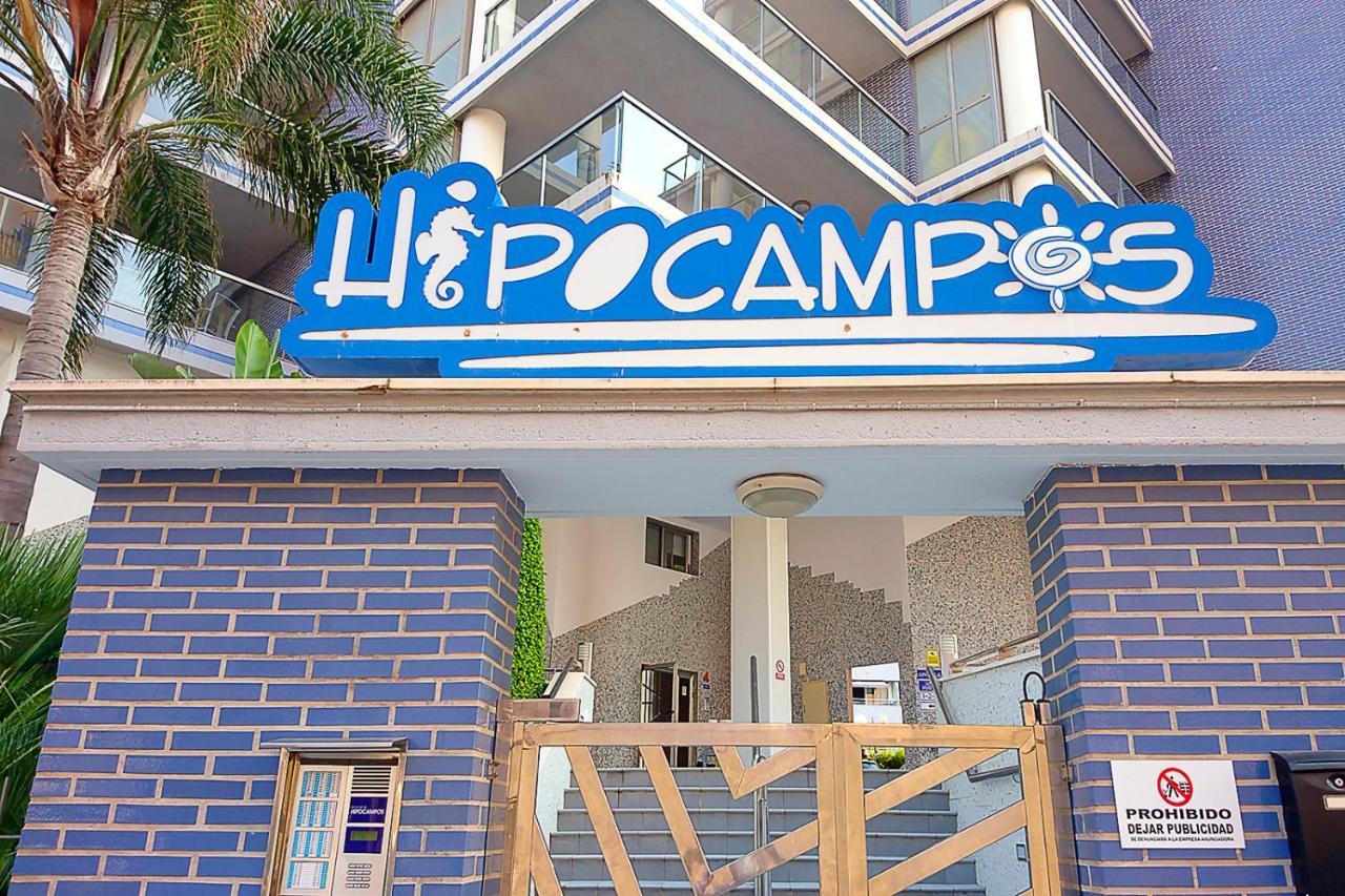 Hipocampos Elite Apartments Calpe Kültér fotó